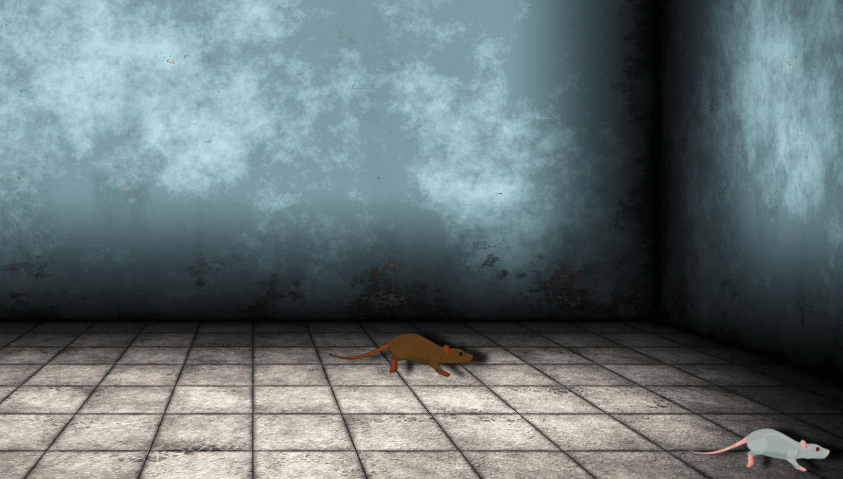 Madness: Ward Number 6